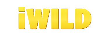 Iwild casino: Scommesse